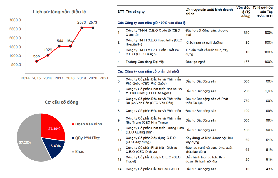 Các công ty thành viên của CEO