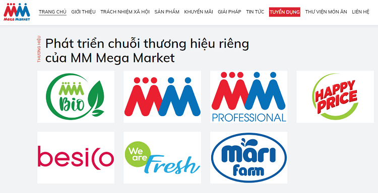 TOP doanh nghiệp, công ty ngành bán lẻ lớn nhất, hàng đầu tại Việt Nam. Mega Market