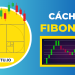 Hướng dẫn vẽ đường Fibonacci