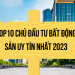 TOP 10 chủ đầu tư bất động sản uy tín hàng đầu 2023 theo Vietnam Report.