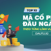 Top 10 mã cổ phiếu đầu ngành theo từng lĩnh vực